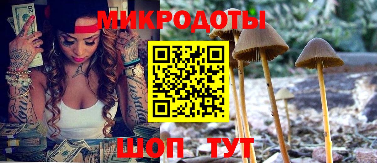 Галлюциногенные грибы ЛСД Гудермес